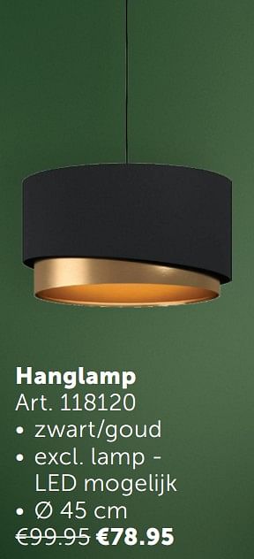 Aanbiedingen Hanglamp - Geldig van 02/11/2021 tot 29/11/2021 bij Zelfbouwmarkt