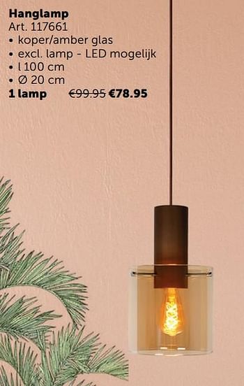 Aanbiedingen Hanglamp 1 lamp - Geldig van 02/11/2021 tot 29/11/2021 bij Zelfbouwmarkt