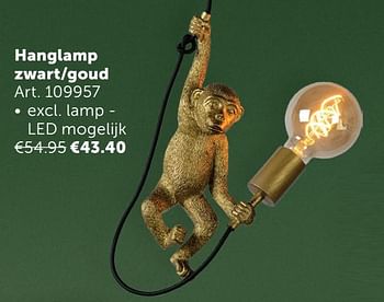 Aanbiedingen Hanglamp zwart-goud - Geldig van 02/11/2021 tot 29/11/2021 bij Zelfbouwmarkt