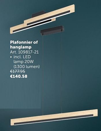Aanbiedingen Plafonnier of hanglamp - Geldig van 02/11/2021 tot 29/11/2021 bij Zelfbouwmarkt