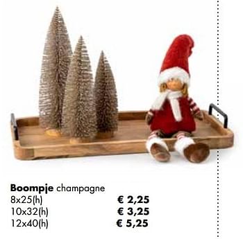 Aanbiedingen Boompje champagne - Huismerk - Multi Bazar - Geldig van 08/11/2021 tot 30/11/2021 bij Multi Bazar