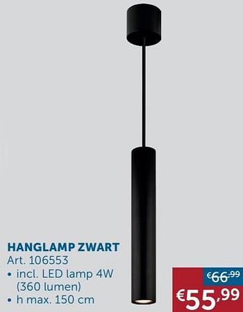 Aanbiedingen Hanglamp zwart - Geldig van 16/11/2021 tot 20/12/2021 bij Zelfbouwmarkt