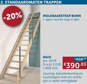 Aanbiedingen Molenaarstrap bonn maxi - Geldig van 16/11/2021 tot 20/12/2021 bij Zelfbouwmarkt