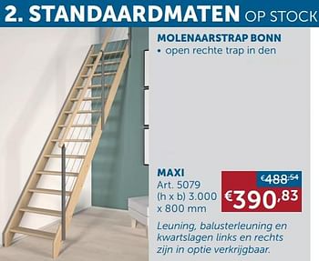 Aanbiedingen Molenaarstrap bonn maxi - Geldig van 21/12/2021 tot 24/01/2022 bij Zelfbouwmarkt