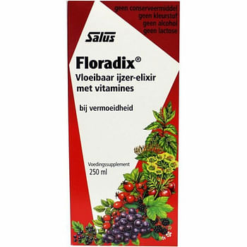 Aanbiedingen Floradix Vloeibaar Ijzer-Elixer met Vitamines 250 ml - Geldig van 17/09/2021 tot 22/01/2022 bij Plein