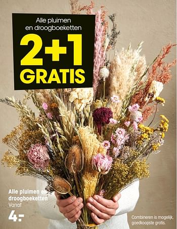 Aanbiedingen Alle pluimen en droogboeketten - Huismerk - Kwantum - Geldig van 03/01/2022 tot 23/01/2022 bij Kwantum