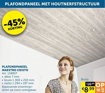 Aanbiedingen Plafondpaneel maestro cristo - Huismerk - Zelfbouwmarkt - Geldig van 25/01/2022 tot 28/02/2022 bij Zelfbouwmarkt
