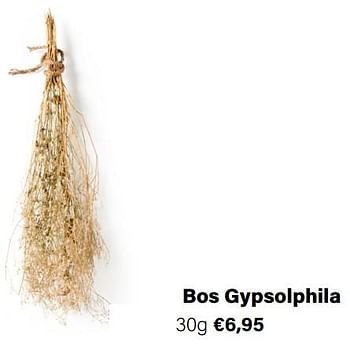 Aanbiedingen Bos gypsolphila - Huismerk - Multi Bazar - Geldig van 21/03/2022 tot 05/06/2022 bij Multi Bazar