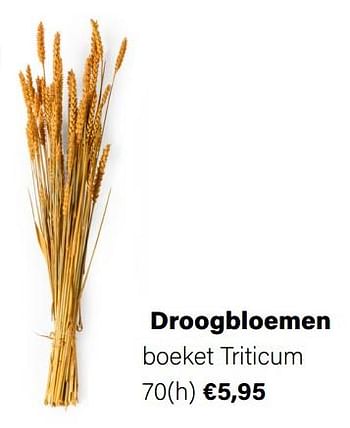 Aanbiedingen Droogbloemen boeket triticum - Huismerk - Multi Bazar - Geldig van 21/03/2022 tot 05/06/2022 bij Multi Bazar