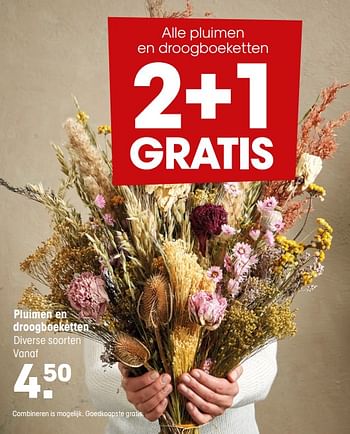 Aanbiedingen Pluimen en droogboeketten - Huismerk - Kwantum - Geldig van 11/04/2022 tot 24/04/2022 bij Kwantum