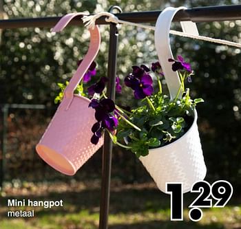 Aanbiedingen Mini hangpot - Huismerk - Wibra - Geldig van 21/04/2022 tot 04/05/2022 bij Wibra