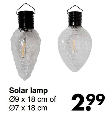 Aanbiedingen Solar lamp - Huismerk - Wibra - Geldig van 21/04/2022 tot 04/05/2022 bij Wibra