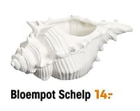 Aanbiedingen Bloempot schelp - Huismerk - Kwantum - Geldig van 13/05/2022 tot 31/10/2022 bij Kwantum