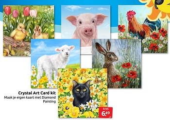 Aanbiedingen Crystal art card kit - Huismerk - Boekenvoordeel - Geldig van 02/07/2022 tot 10/07/2022 bij Boekenvoordeel