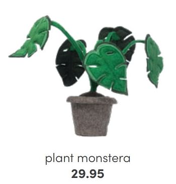 Aanbiedingen Plant monstera - Huismerk - Baby &amp; Tiener Megastore - Geldig van 24/07/2022 tot 30/07/2022 bij Baby & Tiener Megastore