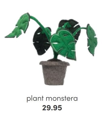 Aanbiedingen Plant monstera - Huismerk - Baby &amp; Tiener Megastore - Geldig van 31/07/2022 tot 06/08/2022 bij Baby & Tiener Megastore