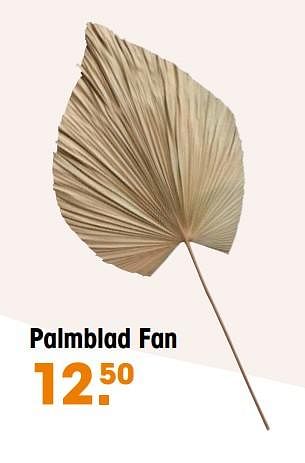 Aanbiedingen Palmblad fan - Huismerk - Kwantum - Geldig van 22/08/2022 tot 28/08/2022 bij Kwantum