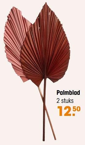 Aanbiedingen Palmblad - Huismerk - Kwantum - Geldig van 29/08/2022 tot 11/09/2022 bij Kwantum