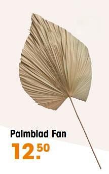Aanbiedingen Palmblad fan - Huismerk - Kwantum - Geldig van 29/08/2022 tot 11/09/2022 bij Kwantum