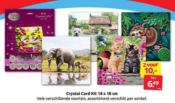 Aanbiedingen Crystal card kit - Huismerk - Boekenvoordeel - Geldig van 08/10/2022 tot 16/10/2022 bij Boekenvoordeel