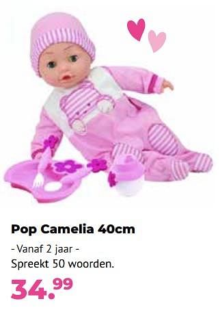 Aanbiedingen Pop camelia - Dimian - Geldig van 10/10/2022 tot 06/12/2022 bij Multi Bazar