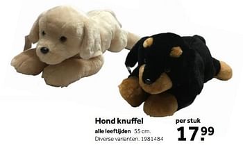 Aanbiedingen Hond knuffel - Huismerk - Intertoys - Geldig van 01/10/2022 tot 05/12/2022 bij Intertoys