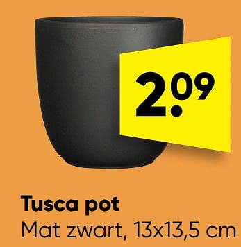 Aanbiedingen Tusca pot - Huismerk - Big Bazar - Geldig van 24/10/2022 tot 06/11/2022 bij Big Bazar