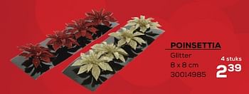 Aanbiedingen Poinsettia - Huismerk - Supra Bazar - Geldig van 04/11/2022 tot 09/12/2022 bij Supra Bazar