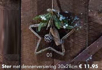 Aanbiedingen Ster met dennenversiering - Huismerk - Multi Bazar - Geldig van 07/11/2022 tot 31/12/2022 bij Multi Bazar