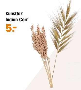 Aanbiedingen Kunsttak indian corn - Huismerk - Kwantum - Geldig van 07/11/2022 tot 16/11/2022 bij Kwantum