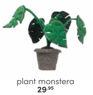 Aanbiedingen Plant monstera - Huismerk - Baby &amp; Tiener Megastore - Geldig van 29/01/2023 tot 11/02/2023 bij Baby & Tiener Megastore