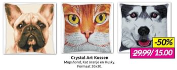 Aanbiedingen Crystal art kussen - Crystal Art Kit - Geldig van 11/02/2023 tot 05/03/2023 bij Boekenvoordeel