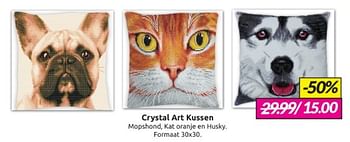 Aanbiedingen Crystal art kussen - Huismerk - Boekenvoordeel - Geldig van 18/02/2023 tot 28/02/2023 bij Boekenvoordeel