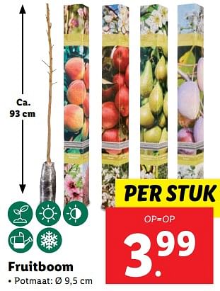 Aanbiedingen Fruitboom - Huismerk - Lidl - Geldig van 20/02/2023 tot 26/02/2023 bij Lidl