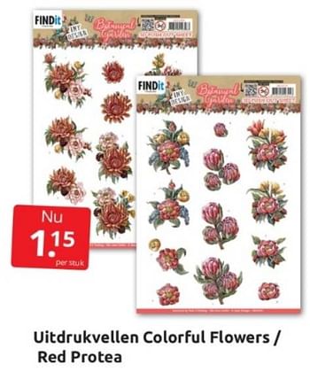 Aanbiedingen Uitdrukvellen colorful flowers - red protea - Huismerk - Boekenvoordeel - Geldig van 04/03/2023 tot 12/04/2023 bij Boekenvoordeel