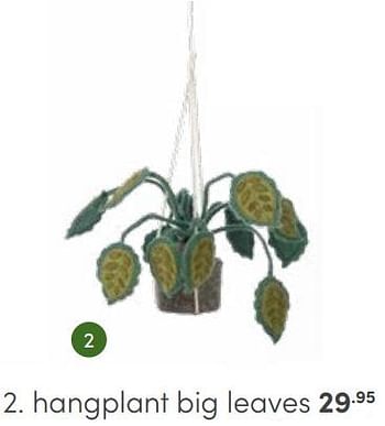 Aanbiedingen Hangplant big leaves - Huismerk - Baby &amp; Tiener Megastore - Geldig van 12/03/2023 tot 25/03/2023 bij Baby & Tiener Megastore