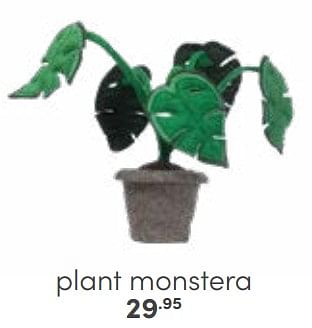 Aanbiedingen Plant monstera - Huismerk - Baby &amp; Tiener Megastore - Geldig van 12/03/2023 tot 25/03/2023 bij Baby & Tiener Megastore