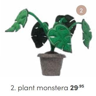 Aanbiedingen Plant monstera - Huismerk - Baby &amp; Tiener Megastore - Geldig van 30/04/2023 tot 13/05/2023 bij Baby & Tiener Megastore