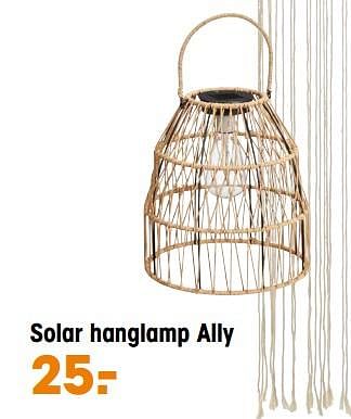 Aanbiedingen Solar hanglamp ally - Huismerk - Kwantum - Geldig van 22/05/2023 tot 31/05/2023 bij Kwantum