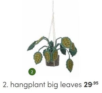 Aanbiedingen Hangplant big leaves - Huismerk - Baby &amp; Tiener Megastore - Geldig van 25/06/2023 tot 08/07/2023 bij Baby & Tiener Megastore