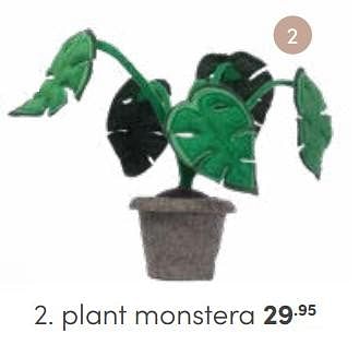 Aanbiedingen Plant monstera - Huismerk - Baby &amp; Tiener Megastore - Geldig van 25/06/2023 tot 08/07/2023 bij Baby & Tiener Megastore