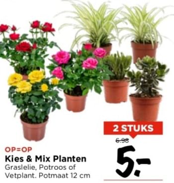 Aanbiedingen Kies + mix planten - Huismerk Vomar - Geldig van 03/09/2023 tot 09/09/2023 bij Vomar