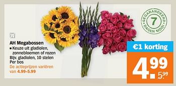 Aanbiedingen Ah megabossen gladiolen, 10 stelen - Huismerk - Albert Heijn - Geldig van 04/09/2023 tot 10/09/2023 bij Albert Heijn