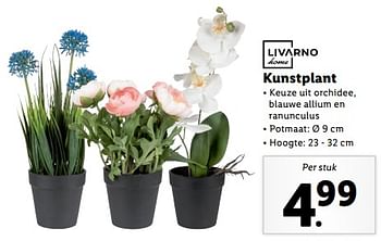 Aanbiedingen Kunstplant - Livarno - Geldig van 04/09/2023 tot 10/09/2023 bij Lidl