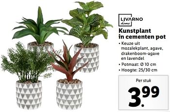 Aanbiedingen Kunstplant in cementen pot - Livarno - Geldig van 04/09/2023 tot 10/09/2023 bij Lidl