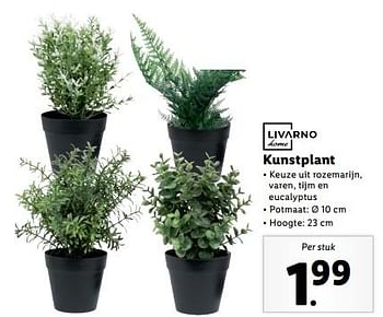Aanbiedingen Kunstplant - Livarno - Geldig van 04/09/2023 tot 10/09/2023 bij Lidl