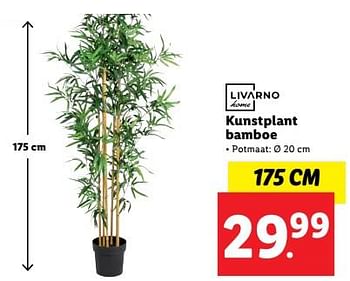 Aanbiedingen Kunstplant bamboe - Livarno - Geldig van 04/09/2023 tot 10/09/2023 bij Lidl