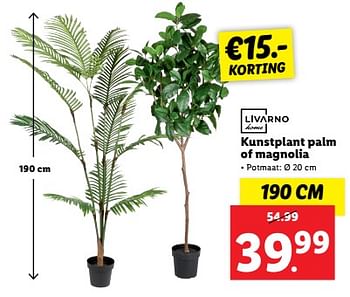 Aanbiedingen Kunstplant palm of magnolia - Livarno - Geldig van 04/09/2023 tot 10/09/2023 bij Lidl