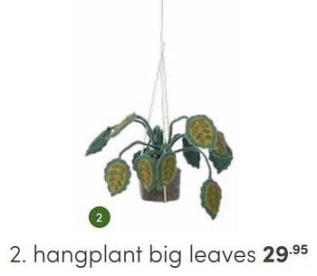 Aanbiedingen Hangplant big leaves - Huismerk - Baby &amp; Tiener Megastore - Geldig van 03/09/2023 tot 30/09/2023 bij Baby & Tiener Megastore