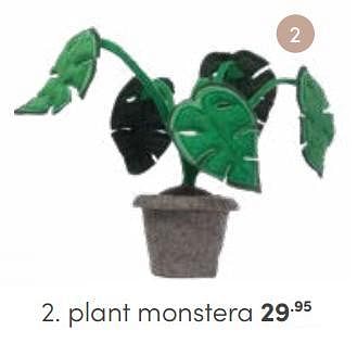 Aanbiedingen Plant monstera - Huismerk - Baby &amp; Tiener Megastore - Geldig van 03/09/2023 tot 30/09/2023 bij Baby & Tiener Megastore